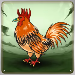 Chicken #6118
