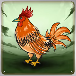 Chicken #10385