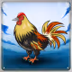 Chicken #12418