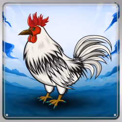 Chicken #12050