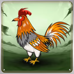 Chicken #9916