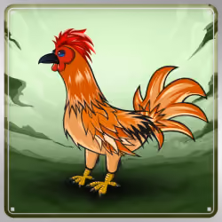 Chicken #9705