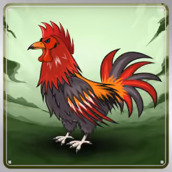 Chicken #8289