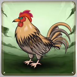 Chicken #5591