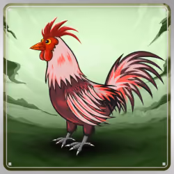 Chicken #9620