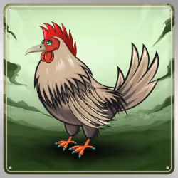 Chicken #9566
