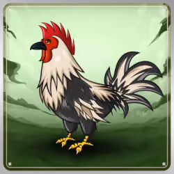 Chicken #4703