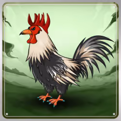 Chicken #8710