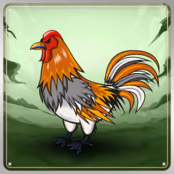 Chicken #9913