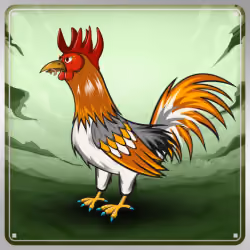 Chicken #10301