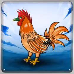 Chicken #13403
