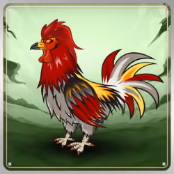 Chicken #10389