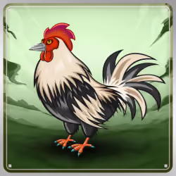 Chicken #10493