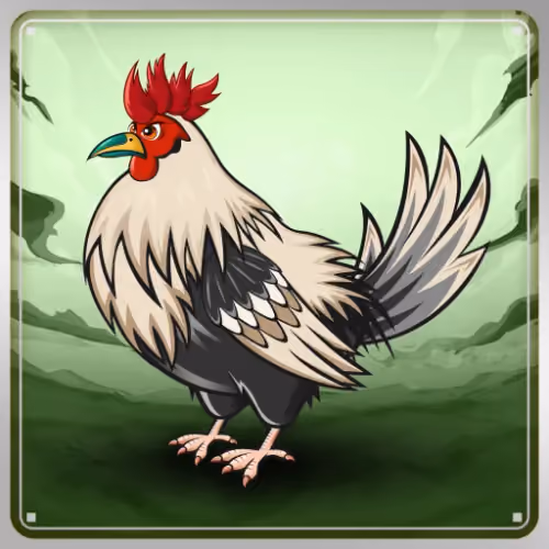 Chicken #6567