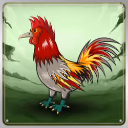 Chicken #3716
