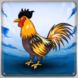 Chicken #14480