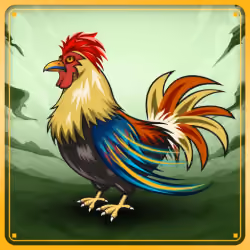 Chicken #9997