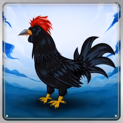 Chicken #12208