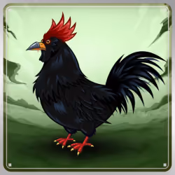 Chicken #5592