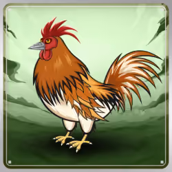 Chicken #5837