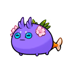 Axie #11488540