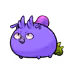 4890904