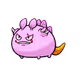 11562677