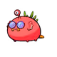 10062307