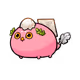 9029272