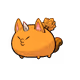 495820