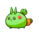 12255020