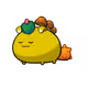 5204228