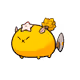 11578552