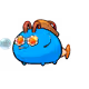 11402829