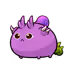 11900072