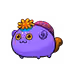 6312
