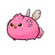 5277981