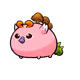 144041