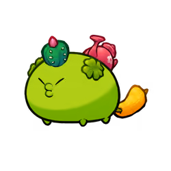 Axie #11249594