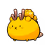 204026