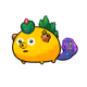 23205