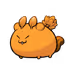 2594434