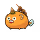 31030