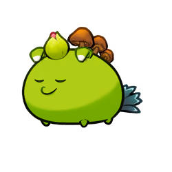 Axie #2641957