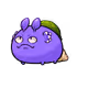 6962905