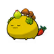 204093