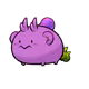 9755113