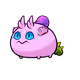 8095457