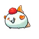 802055