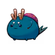 2560904